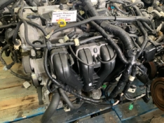 Mazda premacy engine